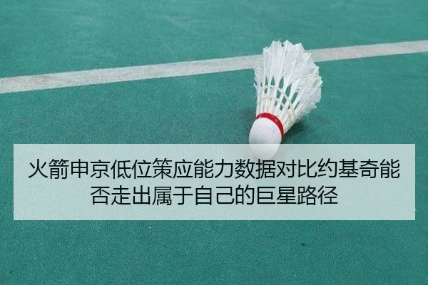 火箭申京低位策应能力数据对比约基奇能否走出属于自己的巨星路径